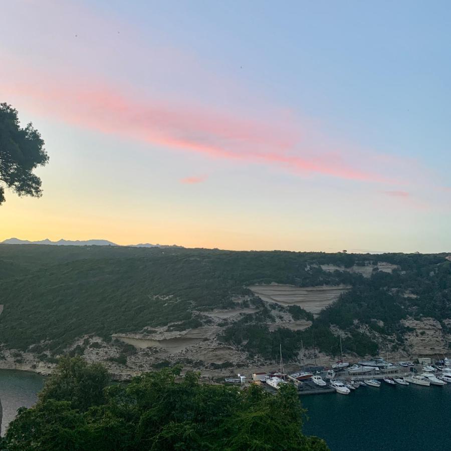 Casa Sirena Centre Citadelle Vue Port Et Falaises 博尼法乔 外观 照片